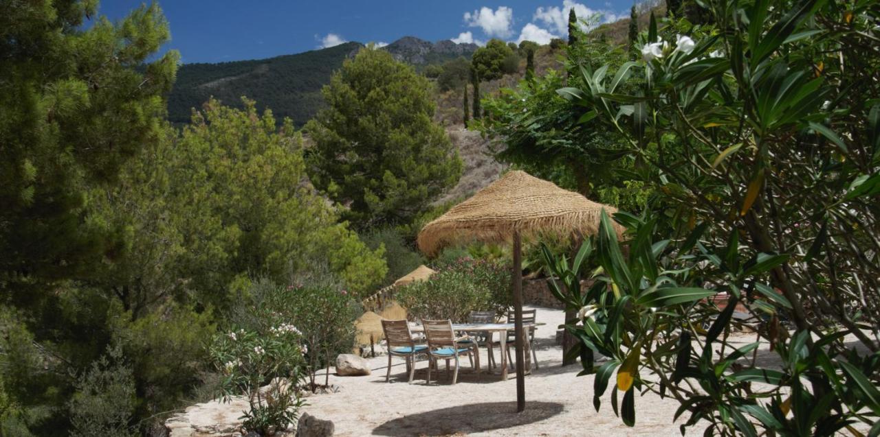 Boutique B&B El Refugio Alcaucín Esterno foto